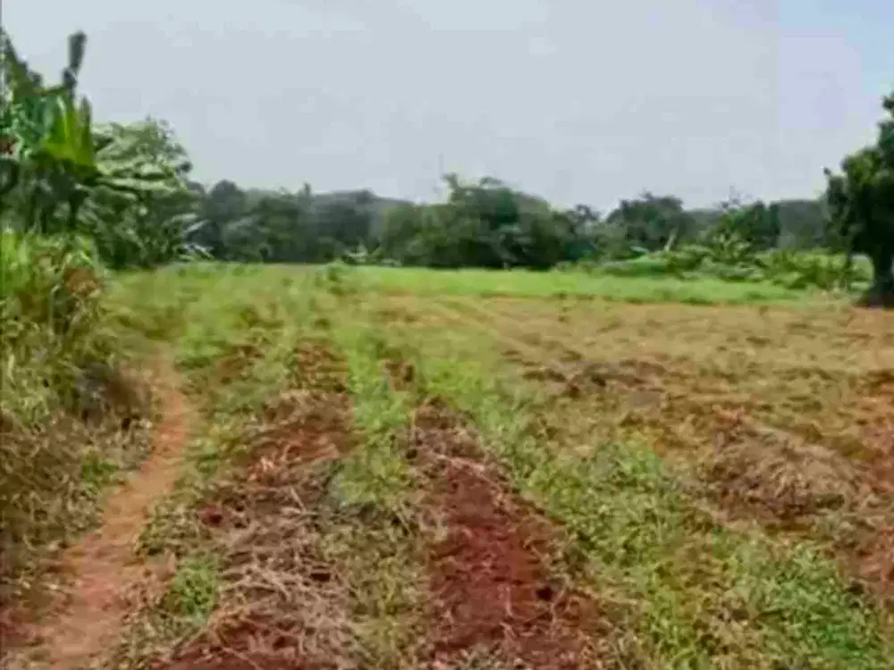 Dijual murah tanah di Setu Bekasi