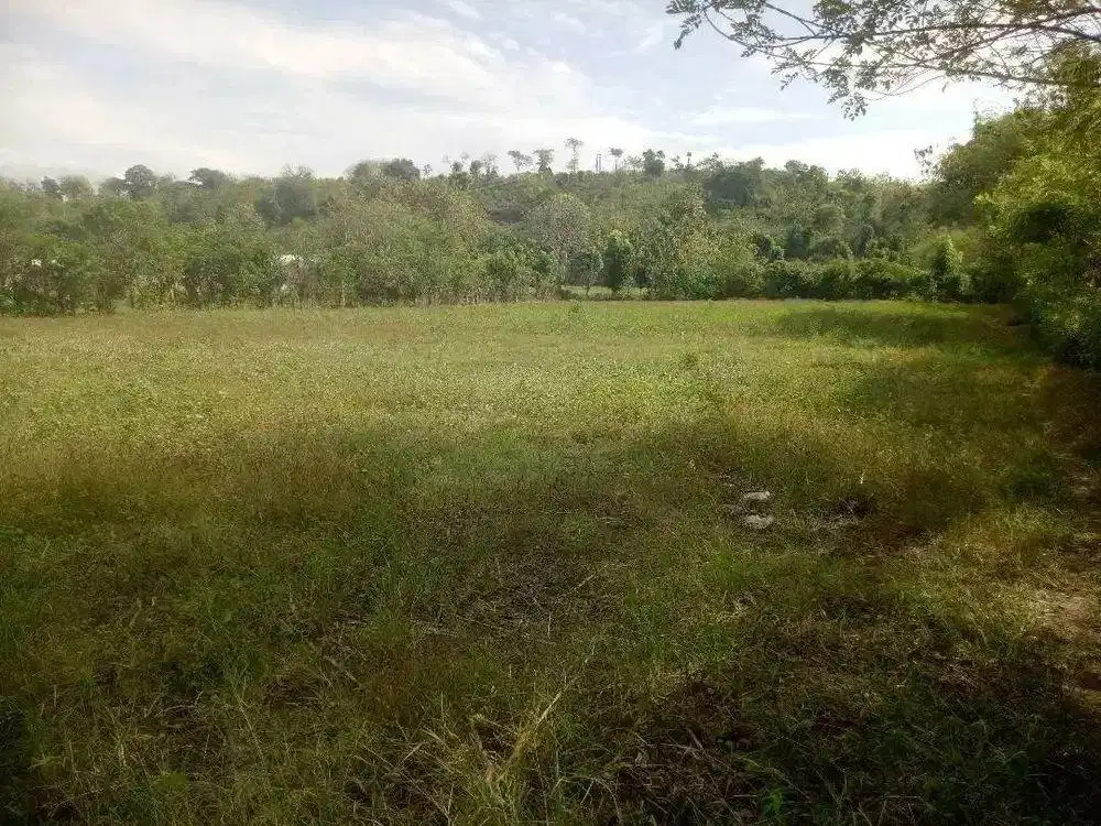 TANAH DIJUAL DAERAH PANDA, PALIBELO, BIMA