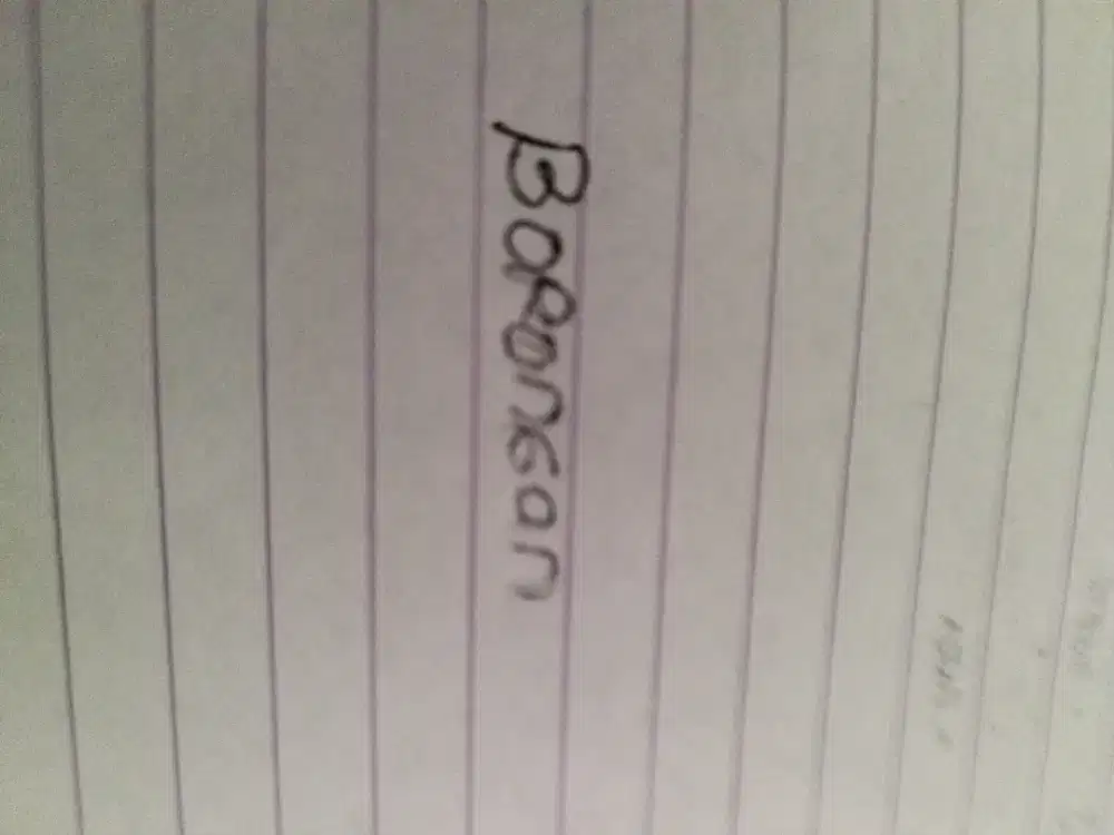 BSH, MUNCHKIN, PEAKNOSE, FLATNOSE, KITTEN