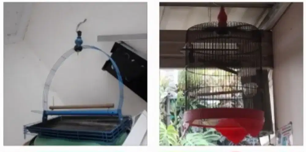 kandang besi 2 second