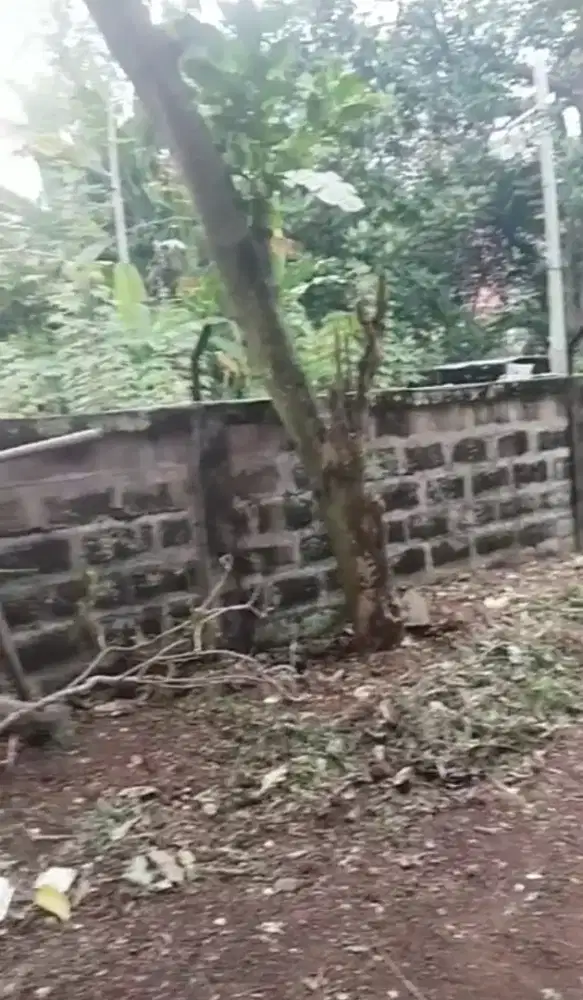 Sewa Lahan luas cocok unt cafe,kantor, padel dkt MRTLebak bulus Jaksel