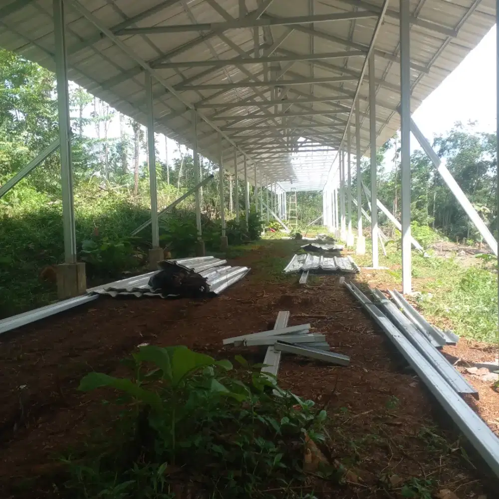 Cari pekerjaan apa sajah yang peunting halal