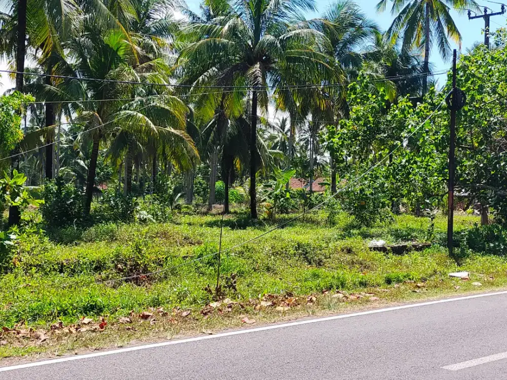Tanah View Laut Batu Karas
