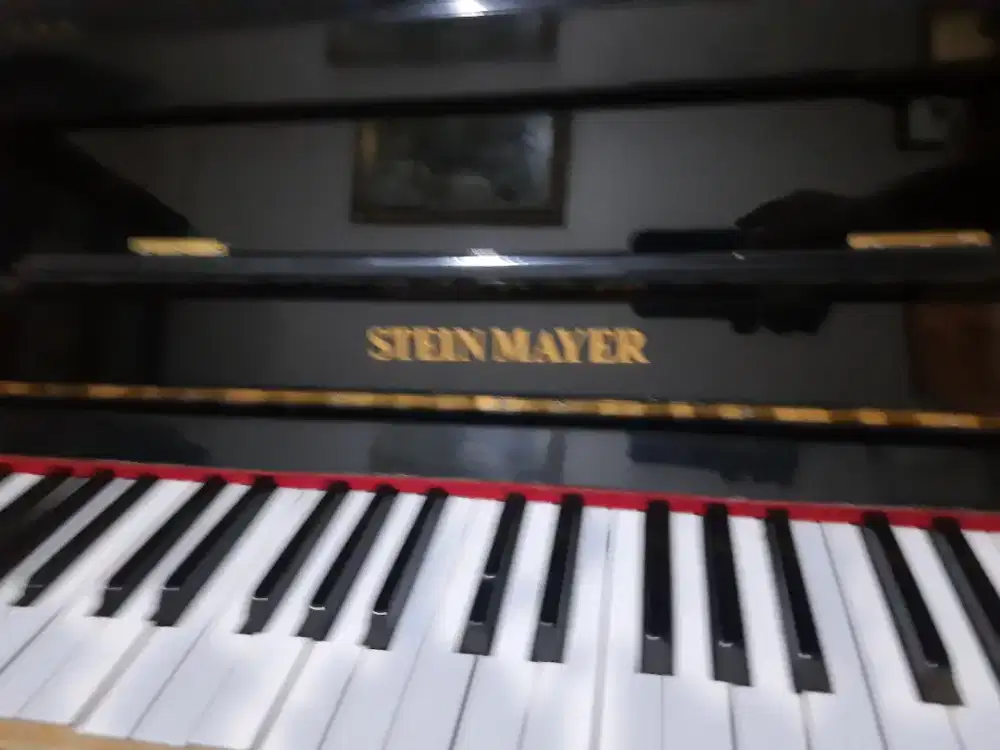 Piano stein meyr