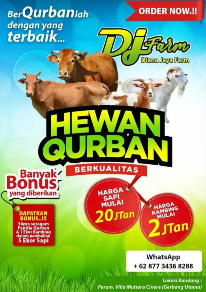 SAPI DAN KAMBING KURBAN MURAH