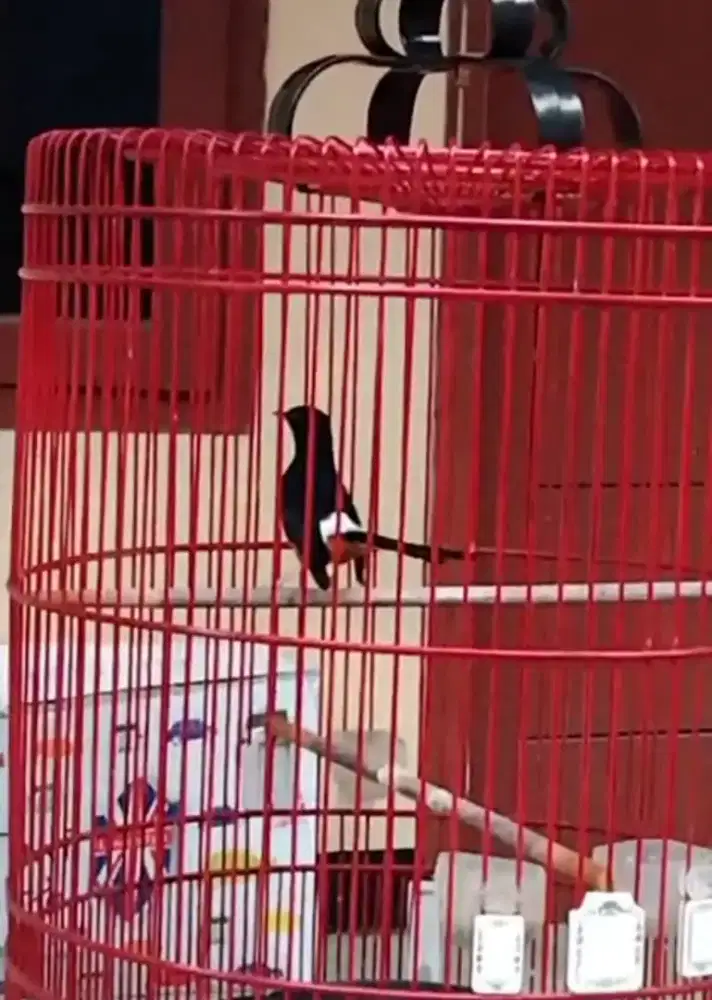 FOR Sale MURAI BATU MEDAN