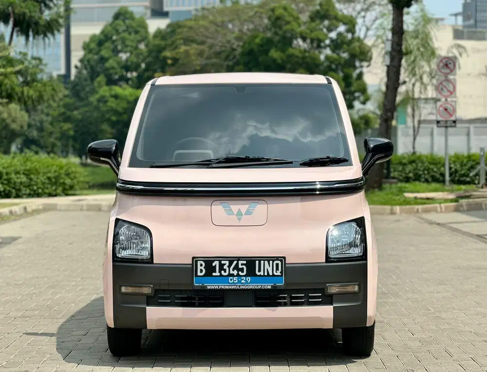 WULING AIR EV STANDARD 2024