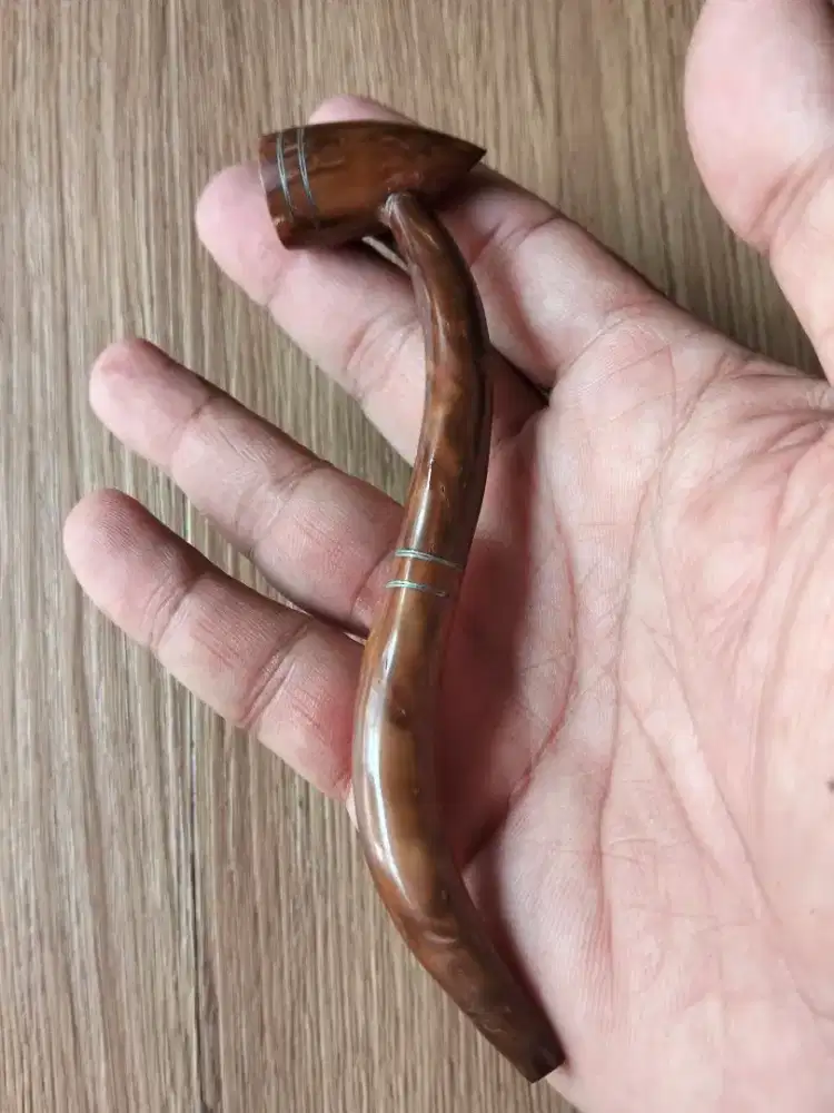 Cangklong kayu kokka