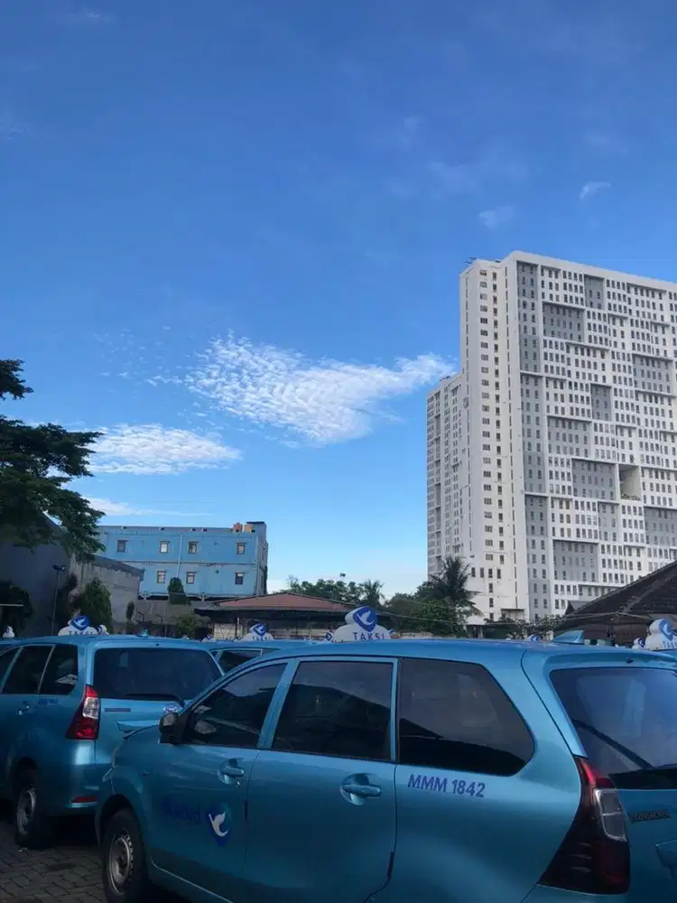 Lowongan kerja driver Bluebird gaji 4-10jt