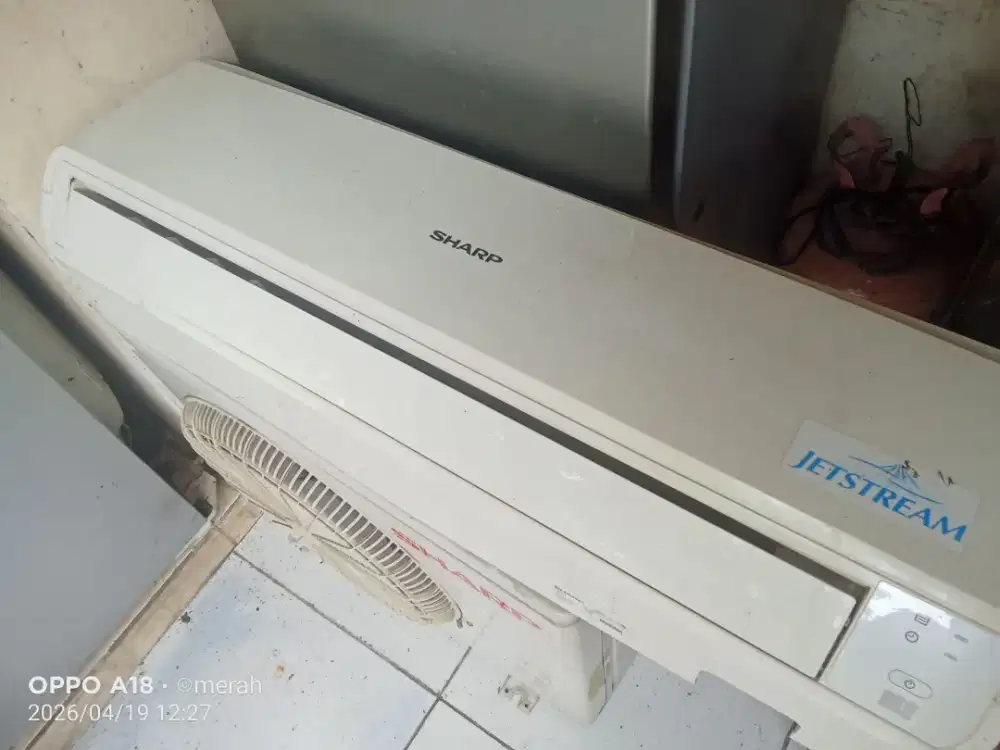 AC Sharp 3/4 PK normal ori