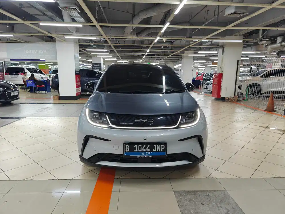 BYD Dolphin Premium 2024