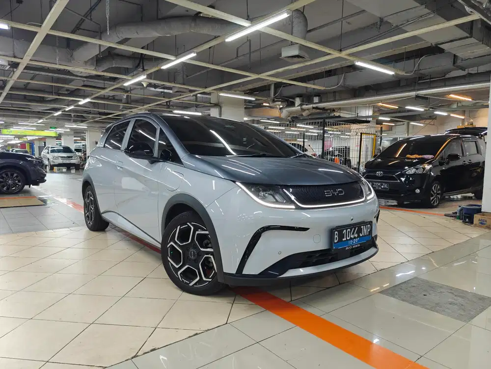 BYD Dolphin Premium 2024