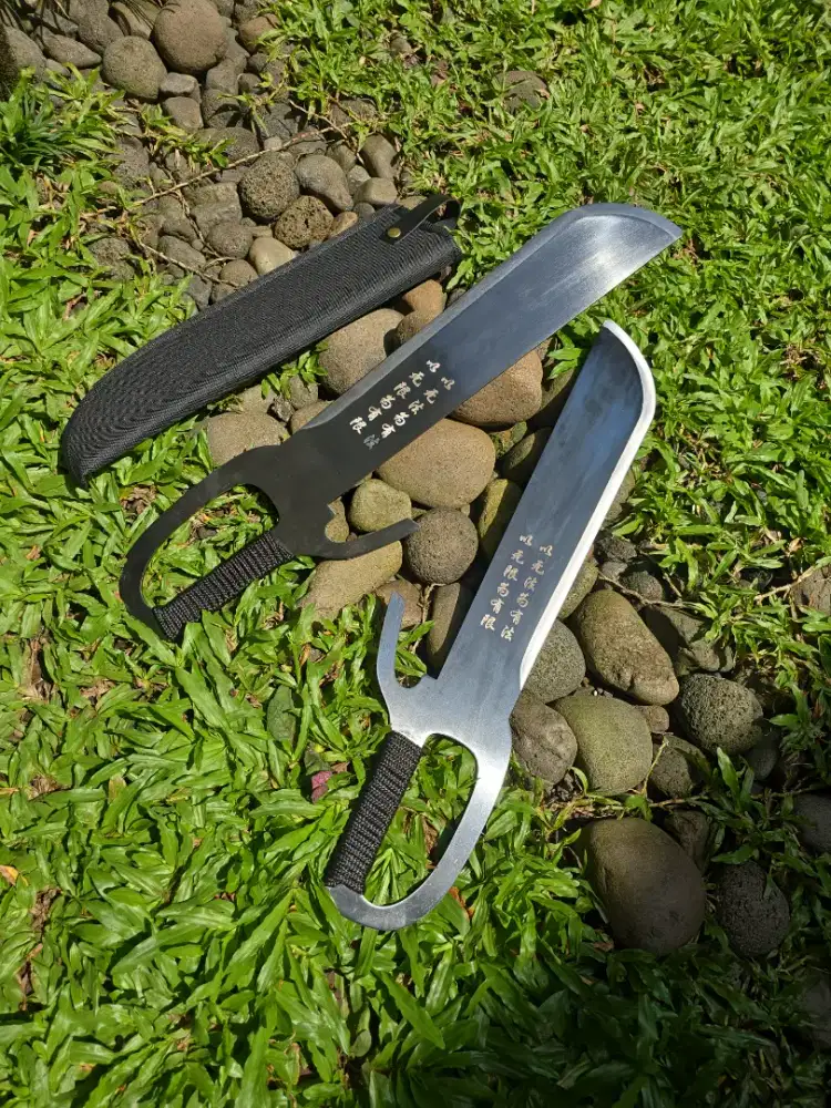 Pedang praktisi wing chun Baat jam do twin butterfly sword