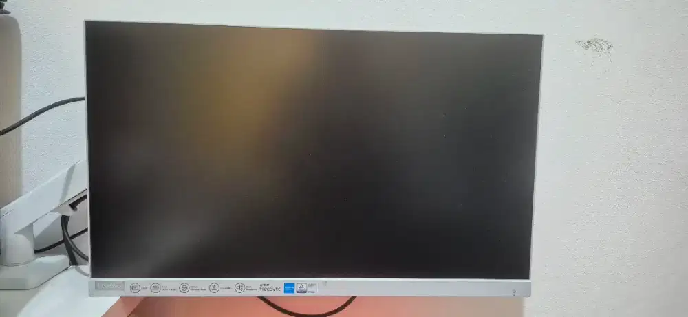 Monitor lenovo l24i
