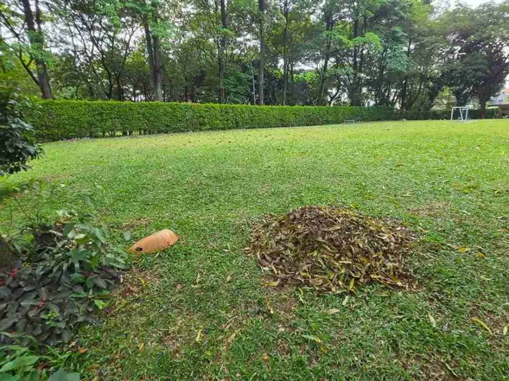 Di Jual Cepat Kavling Foresta BSD Tangsel