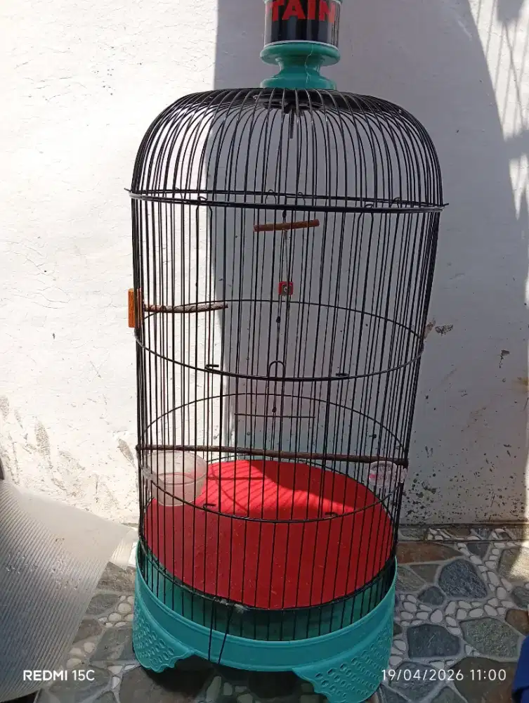 Kandang Burung Kapsul Love bird Kenari