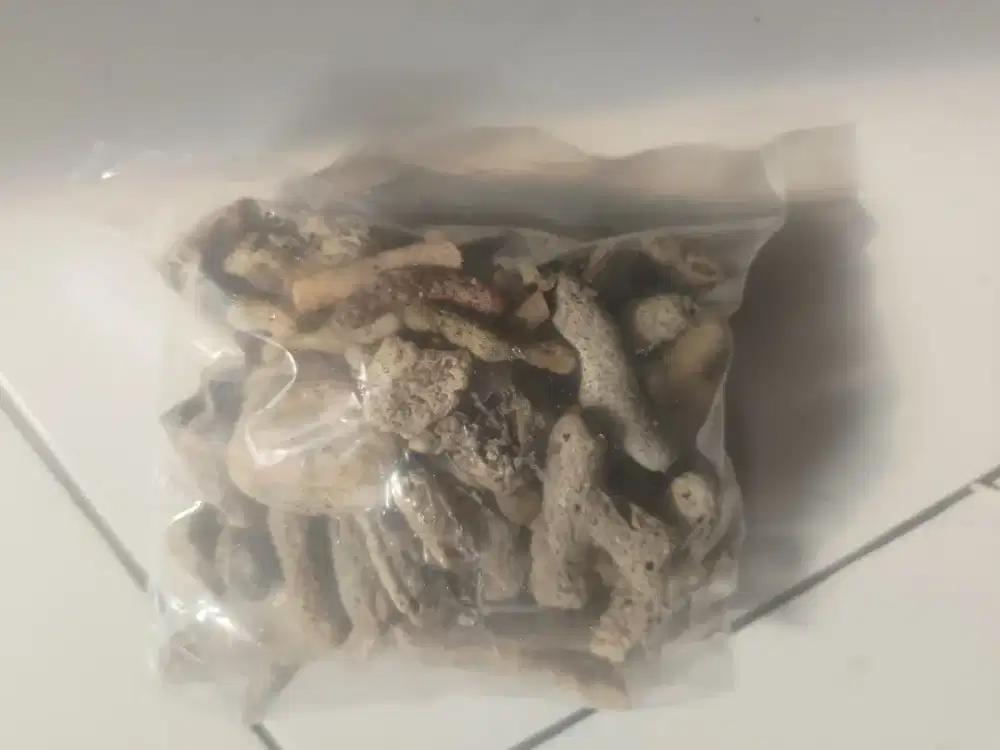 Misi mau jual karang jahe buat akuarium berat setengah kilo