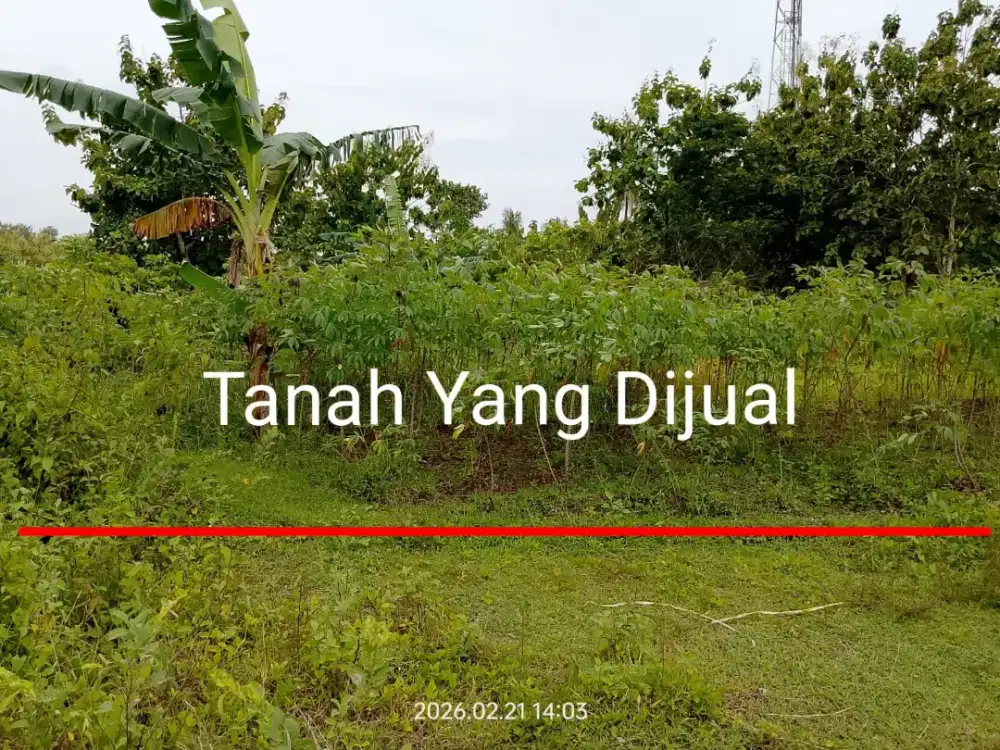 Tanah murah 10 menit ke UMY di Balecatur gamping Sleman Yogyakarta