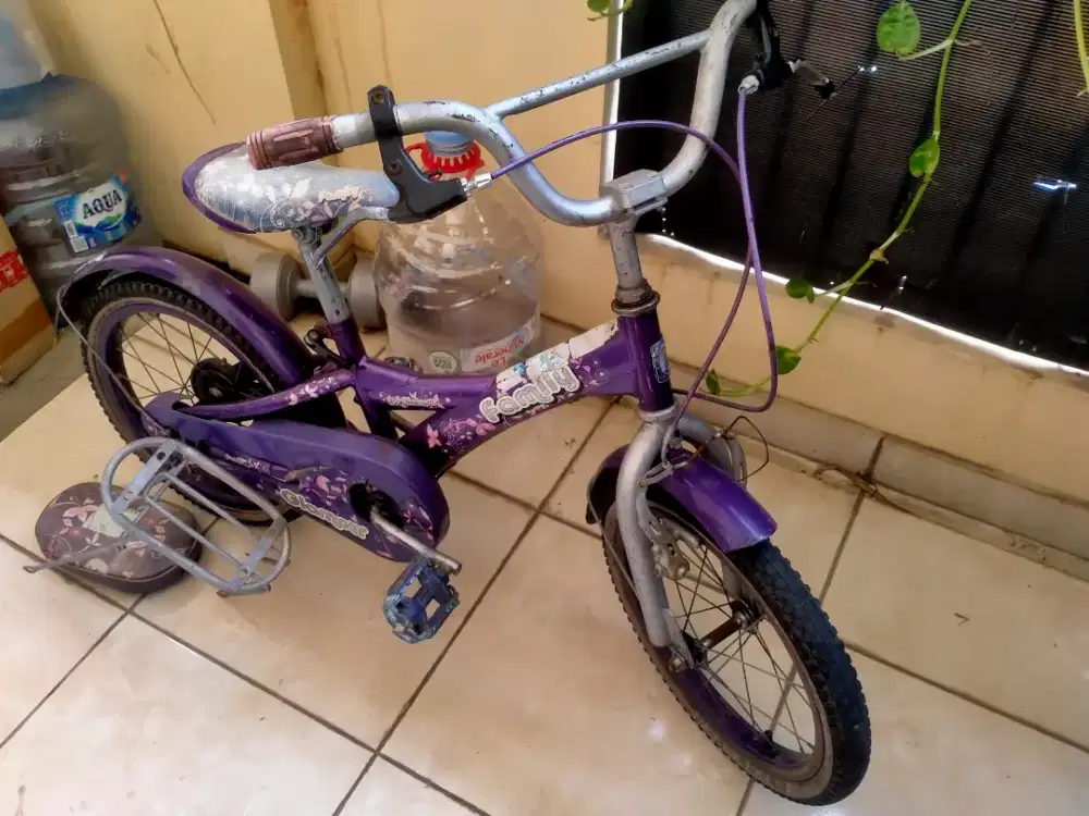Sepeda Anak 16 Family