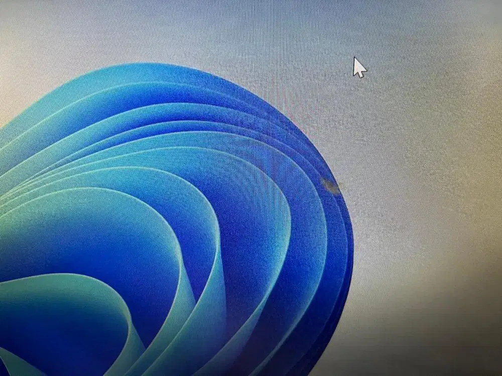 Monitor BenQ GL2450 24 Inch Full HD