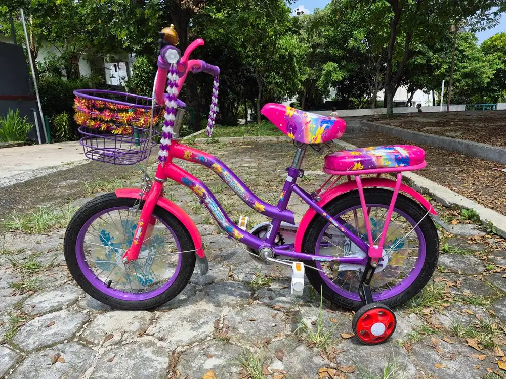 Sepeda anak Perempuan TREX Seperti Baru