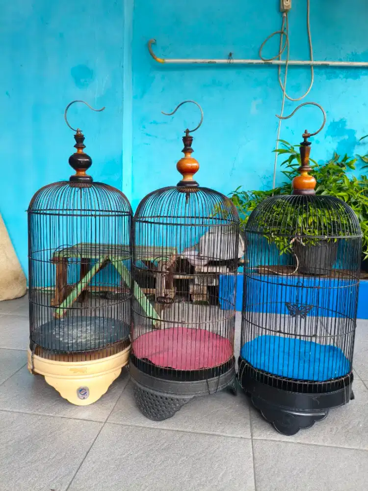 Kandang Lovebird Lb Bekas