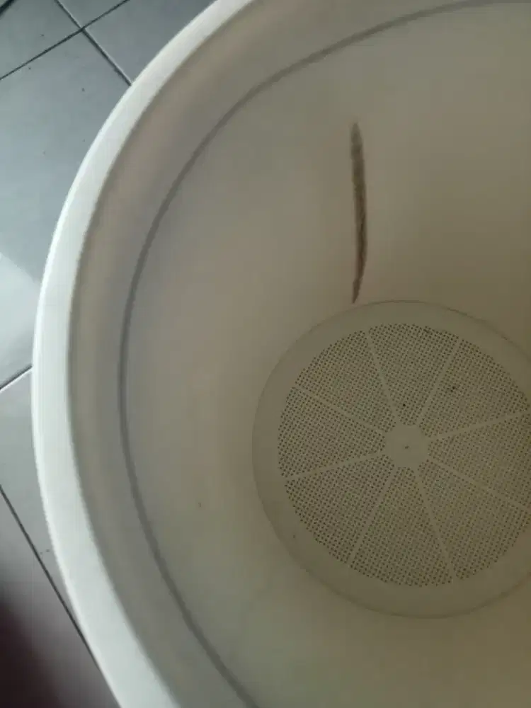 Termos nasi atau es batu