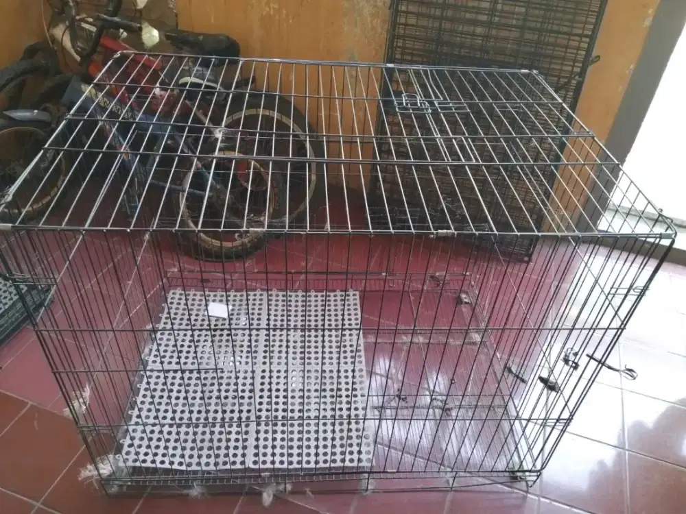 KANDANG KUCING JUMBO