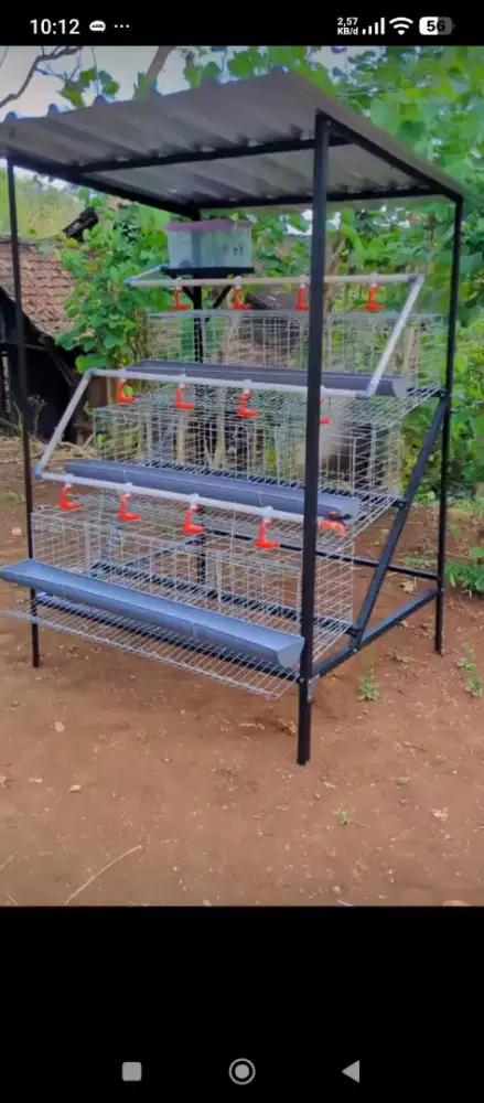 Kandang ayam petelur 24e