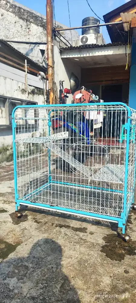 Kandang kucing Octagon