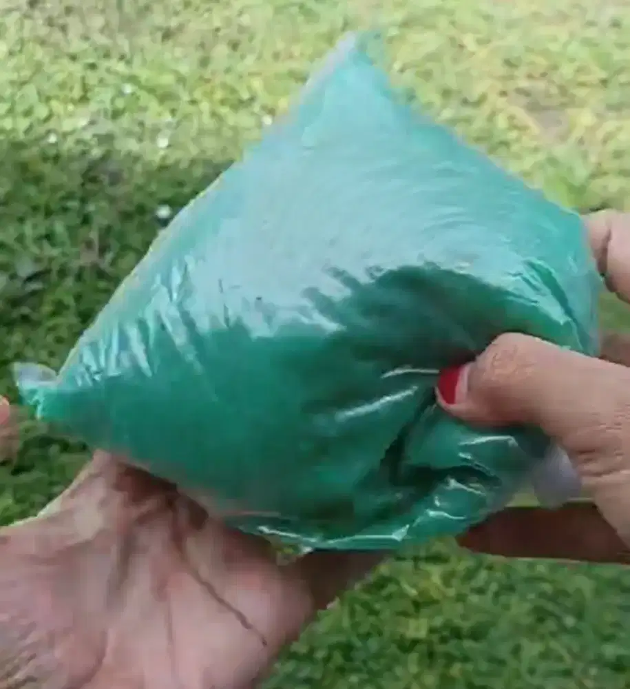 Bibit / Biang / Konsentrat sabun cuci piring