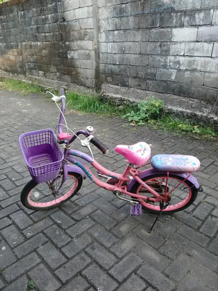 Sepeda anak 18 inch pasific