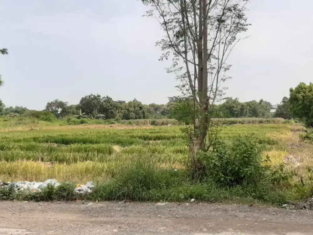 Dijual Tanah Domas area Pabrik