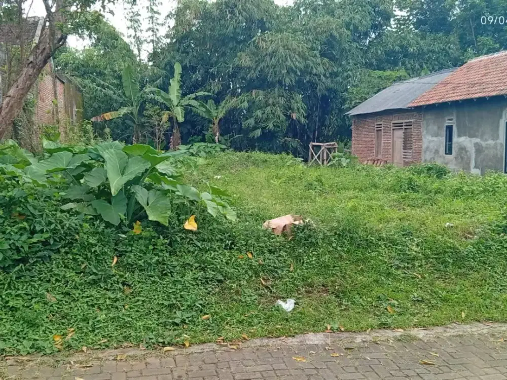 Tanah murah Singosari Malang Gunungrejo Dijual cepat edisi B.U Poll