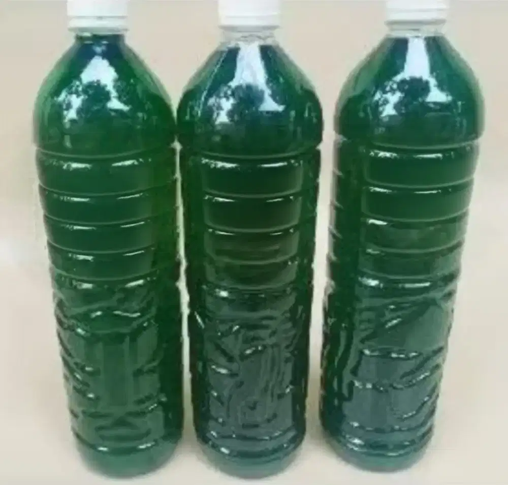 Sabun cuci piring 2in1