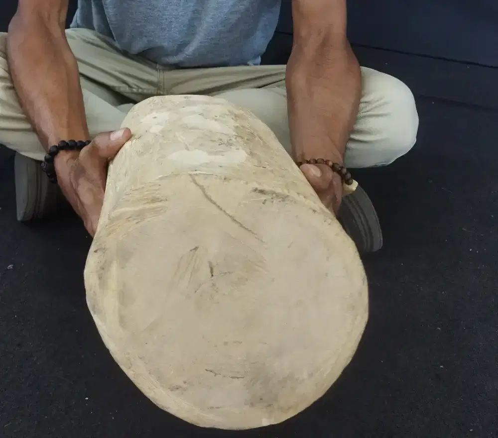 Jual kayu cendana timor ntt