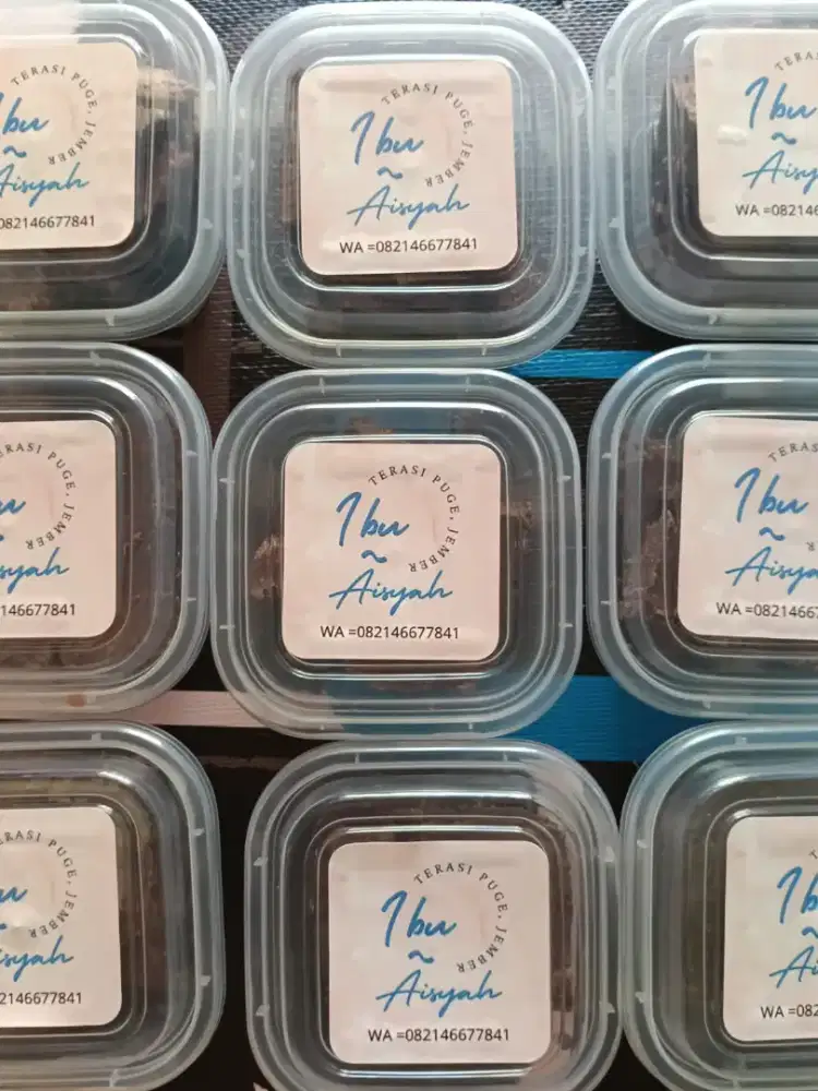 Jual Terasi Puger, Jember (Asli dari udang)