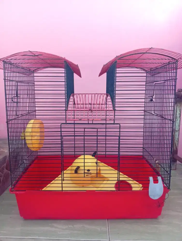 Kandang hamster