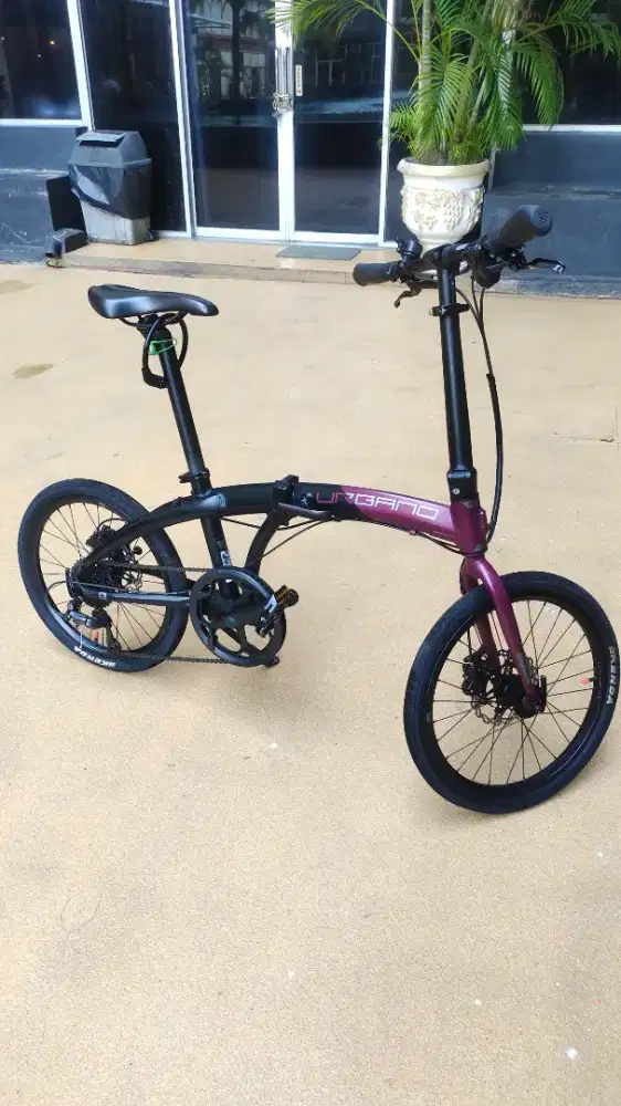 Sepeda Polygon urbano 3