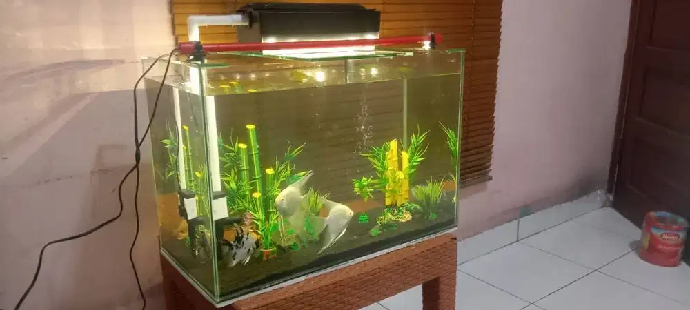 aquarium pulset tanpa meja