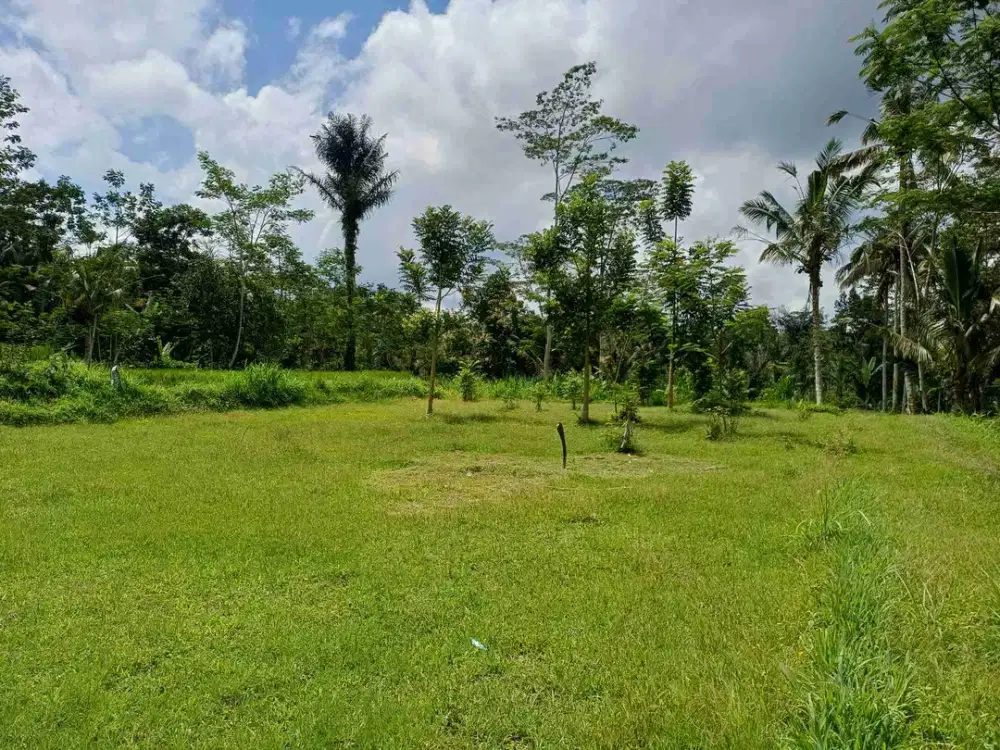 di jual tanah strategis  cocok investasi atau di bangun vila