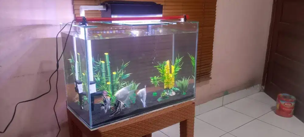 Aquascape 60x30x40 tanpa meja