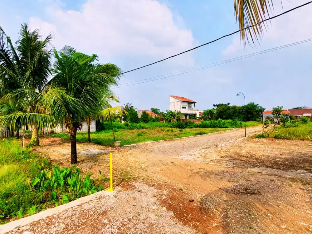 Tanah SHM Hanya 2 Jt-an Dekat Kampus IPB Dramaga