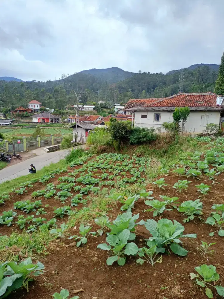 JUAL LAHAN DI RANCABALI CIWIDEY