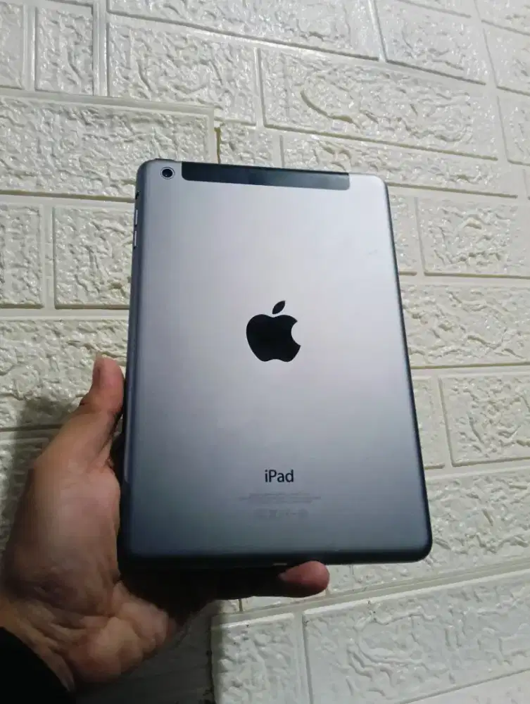 iPad mini Celluler 16 GB