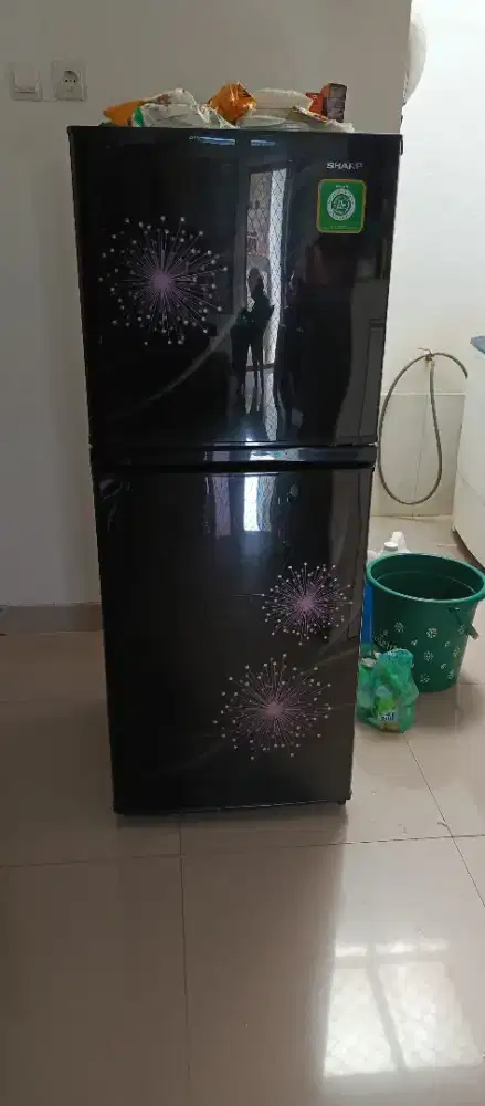 Jual Kulkas Sharp 2 pintu