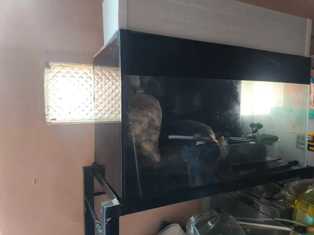 Aquarium banyak bonus ++