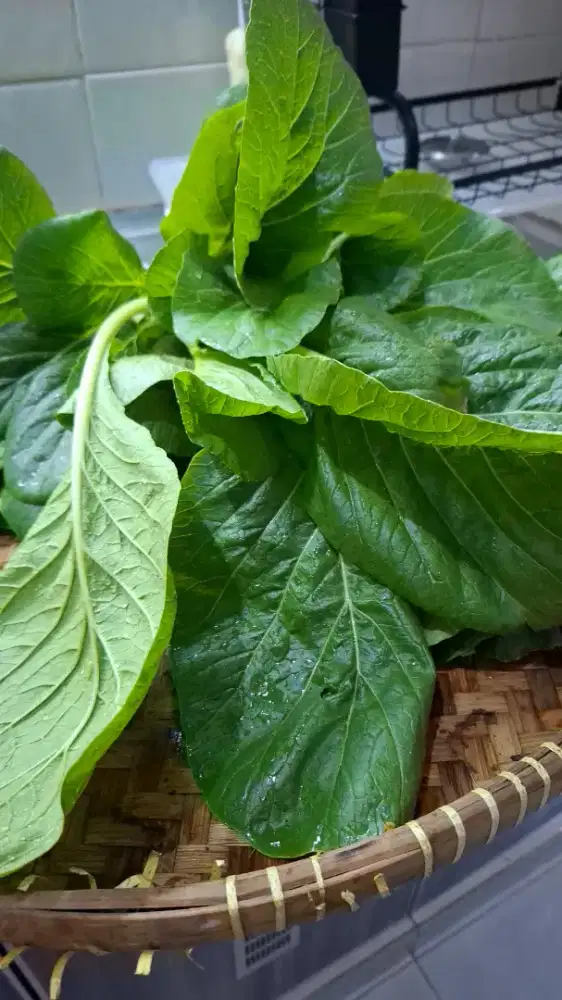 Driver pribadi. Jam kerja fkexible