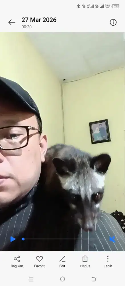 Muspan umur 6bln semi jinak