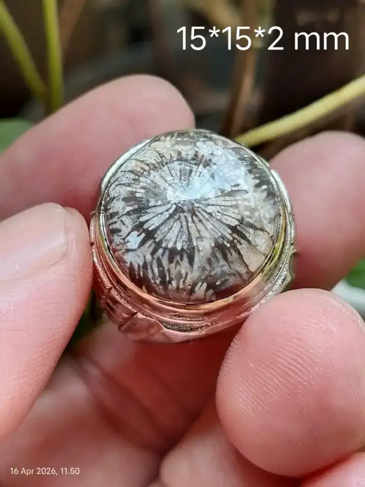 Batu Teratai Tunggal Kantoran